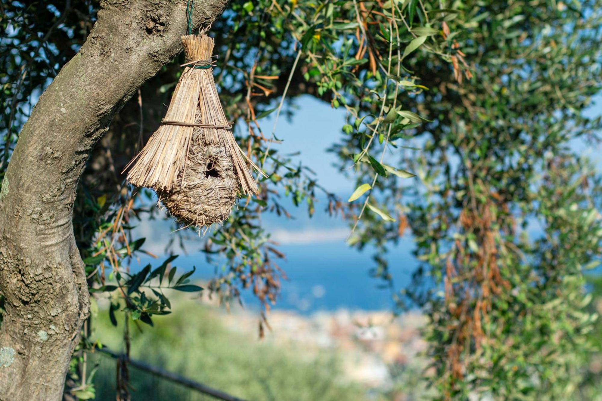 Casa Di Pietra * Santa Margherita Ligure